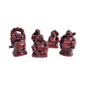 Buda Chico Marrón x 6