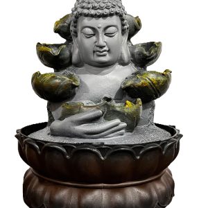Fuente de Agua "Cabeza Buda"